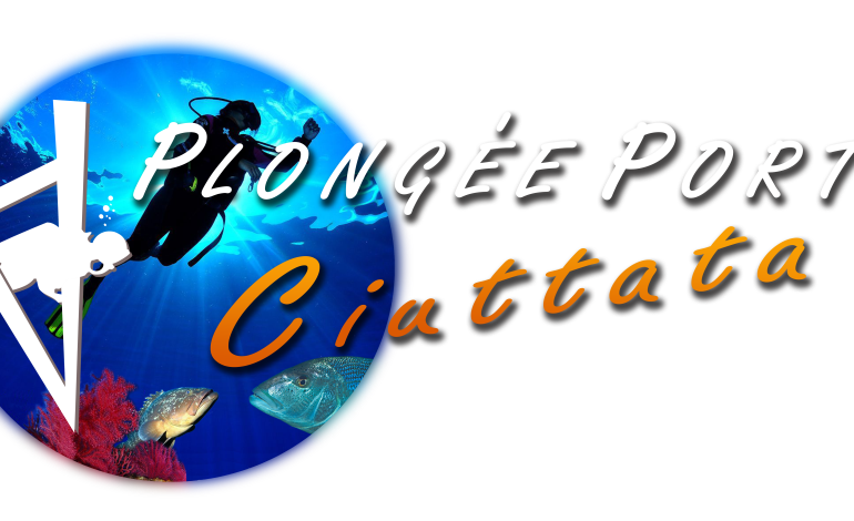 PLONGEE PORTO CIUTTATA PPC PLONGEE PORTO CIUTTATA PPC