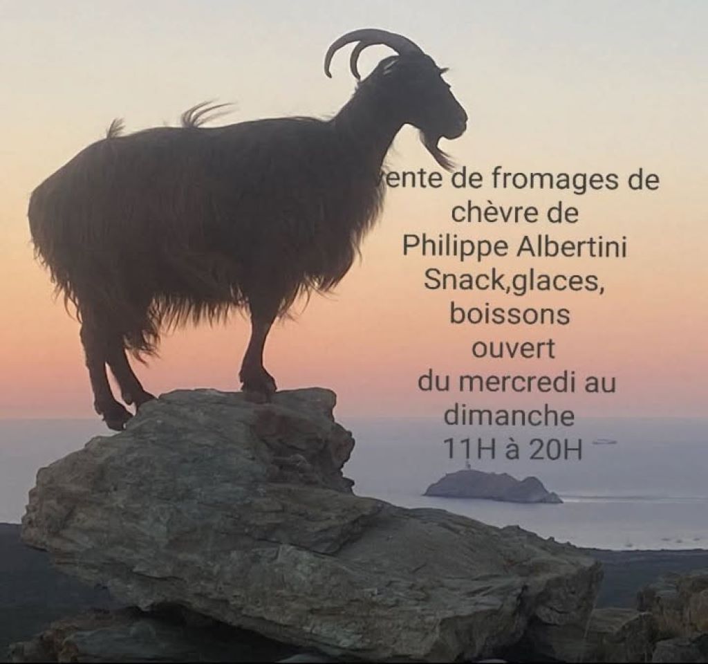 ©iscontri