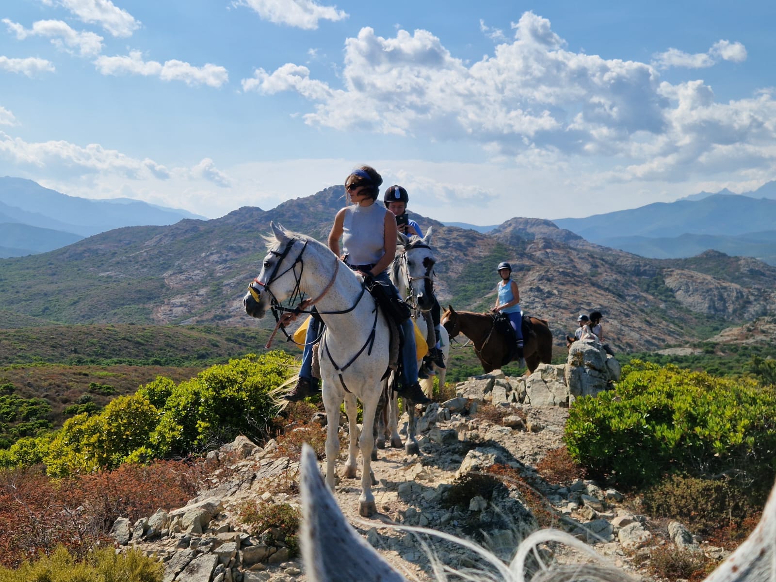  immersion sur les sentiers corses (4)