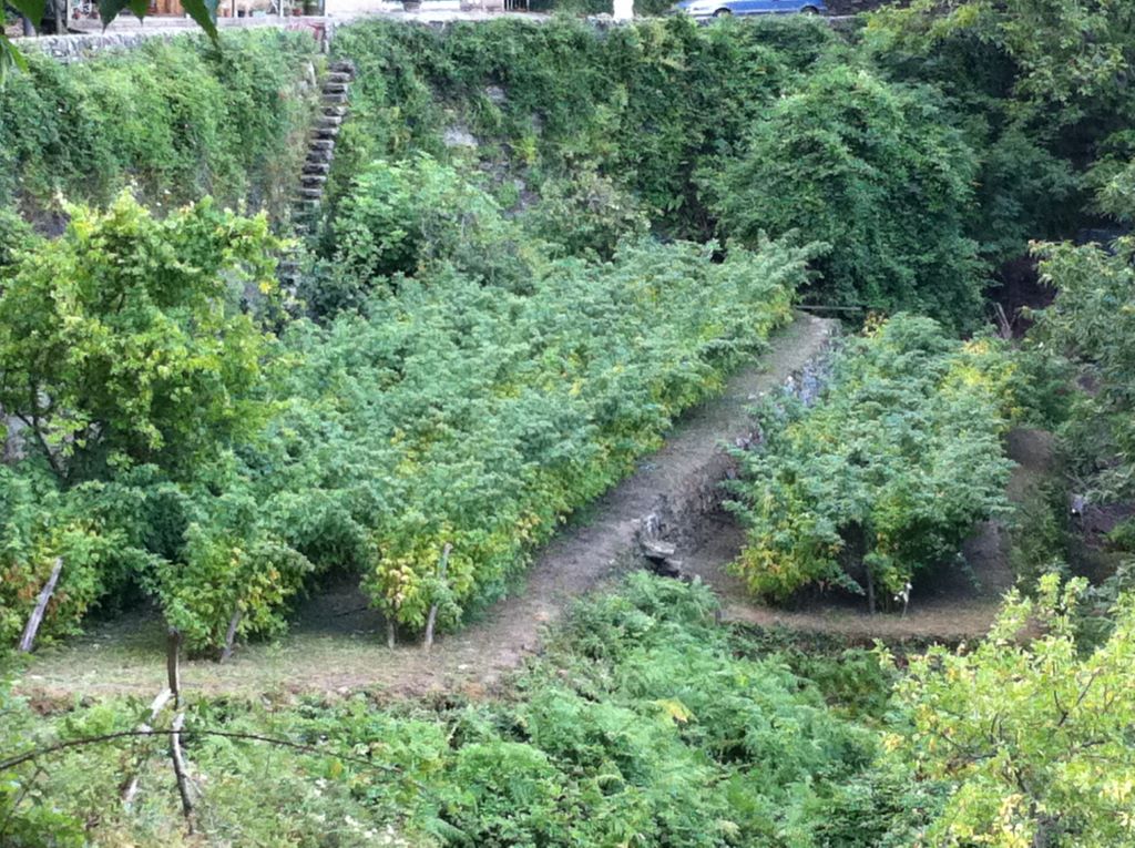  les jardins d'Alesani 2025