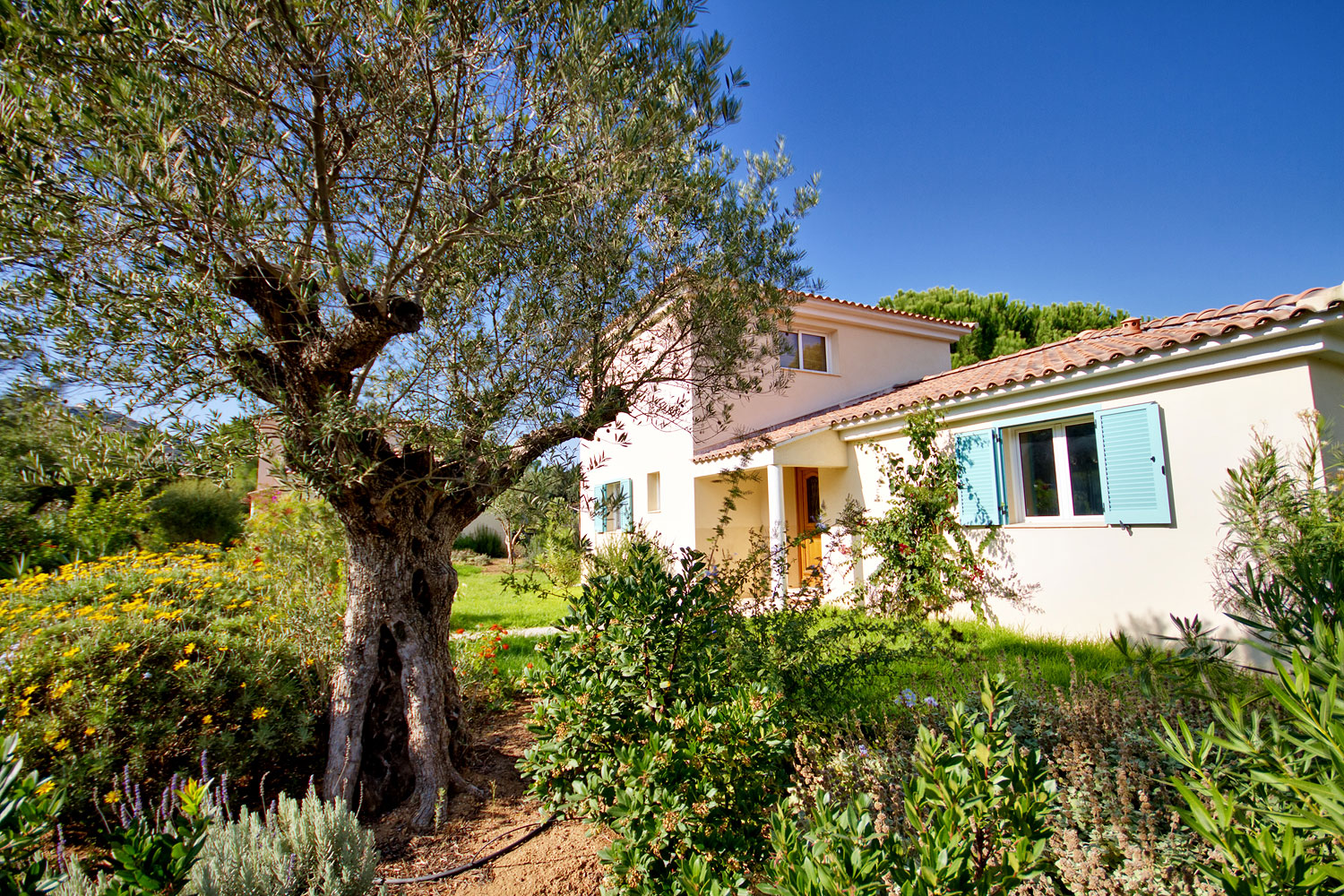  jardin-20