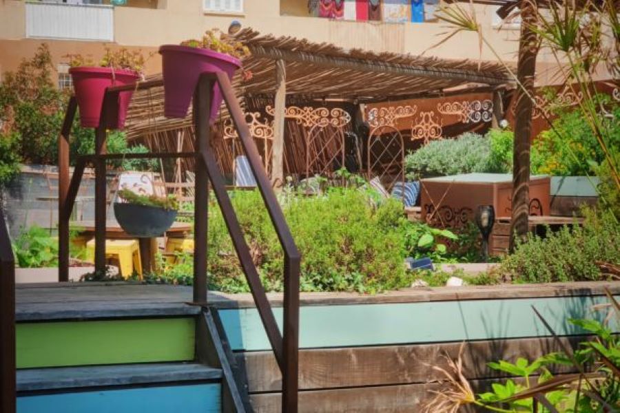  jardin-urbain-roof-top-sud-hotel