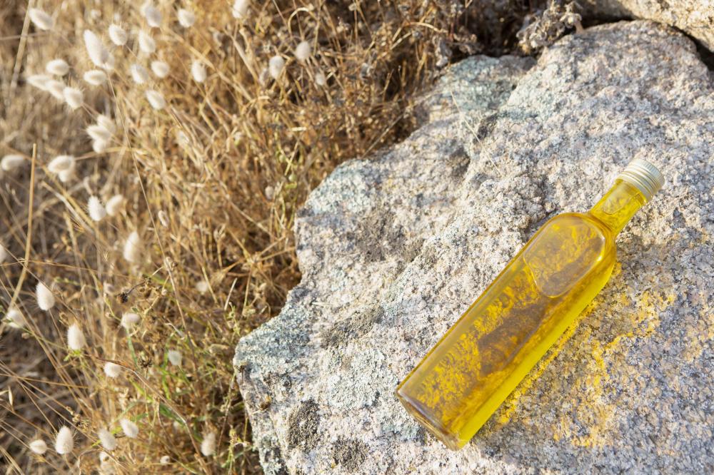  jpantonetti-05┬®L.Eouzan-Pierijpg