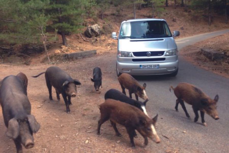  kurnos-evasion-castagniccia