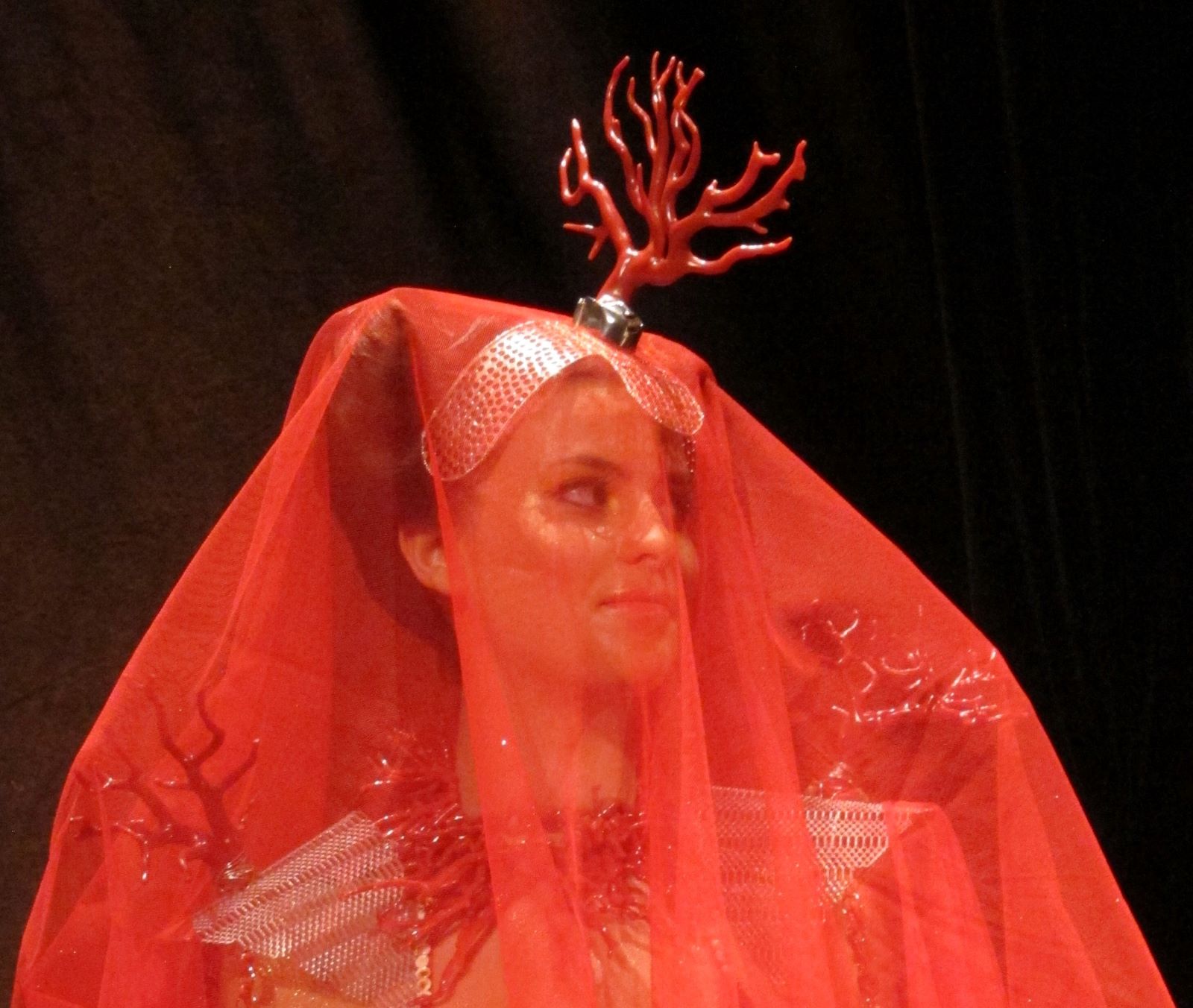  laboutique-ducorail-bonifacio-création.jpg (1)