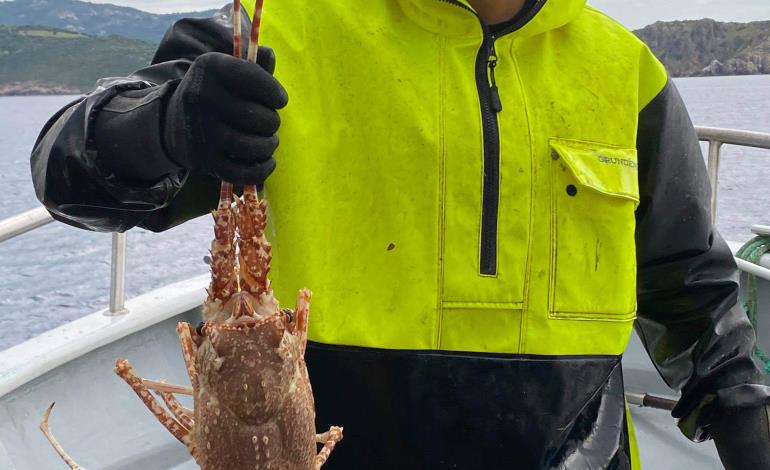 langouste cioccu langouste cioccu