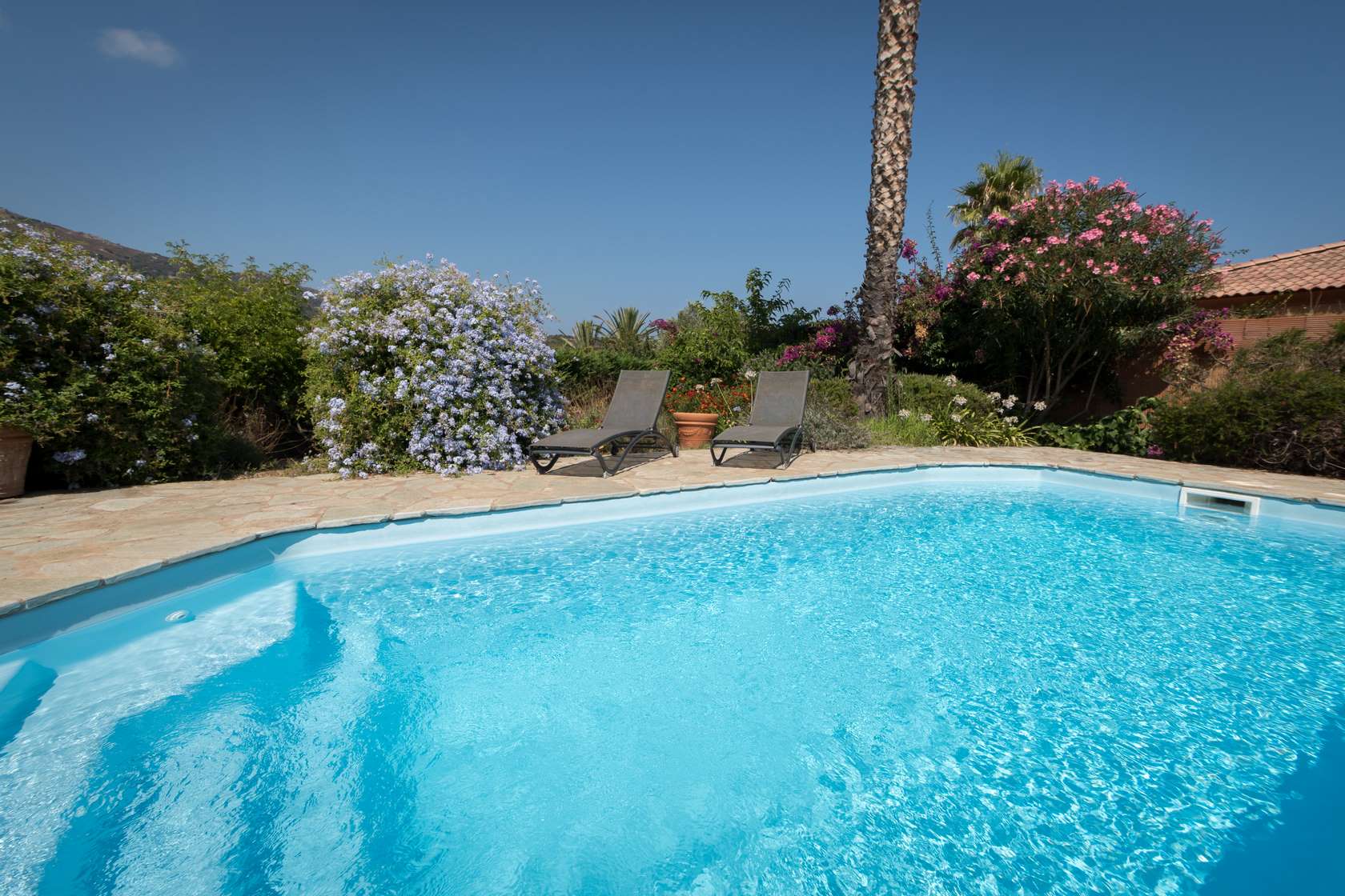  location-villa-haute-corse-piscine-casa-gialla-turchina