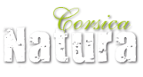 logo corsica natura