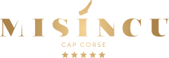  MISINCU