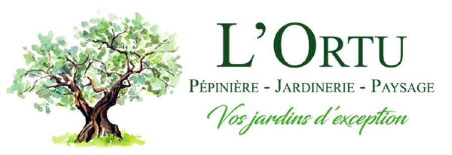  logo-lortu