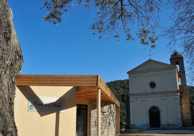 maison du miel (6)