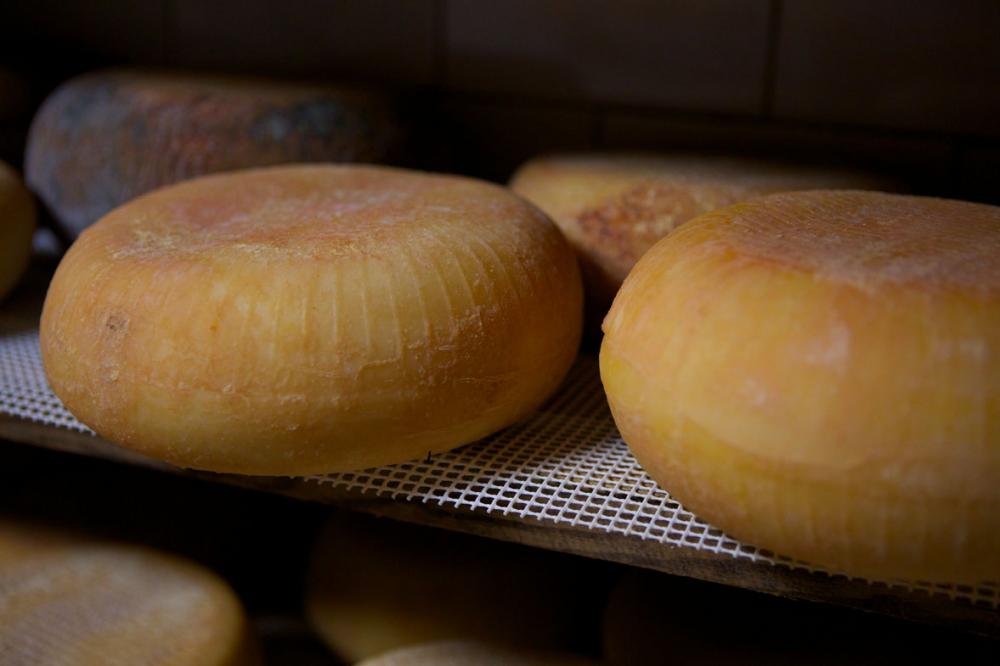  maximeansaloni-®leaeouzan 02