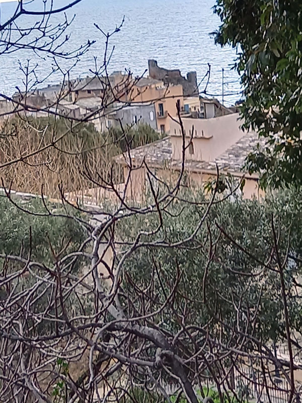 © PALAUQUI MICHELLE