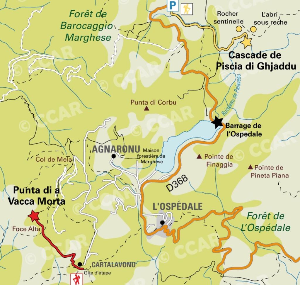  ospedale-carte-2