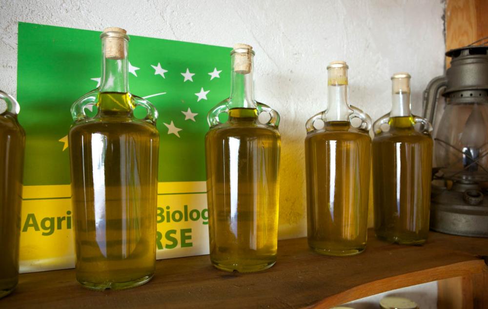  philippebelanger-2bis