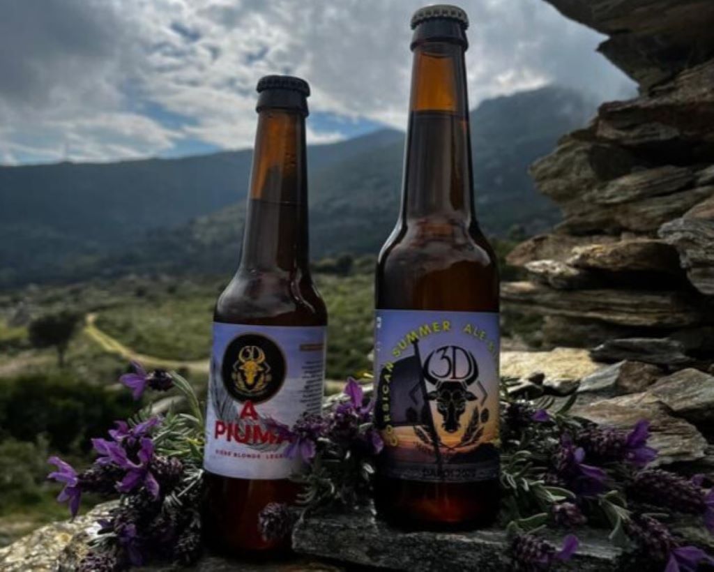  photosmodifieesenpaysagebrasserie3D---3-