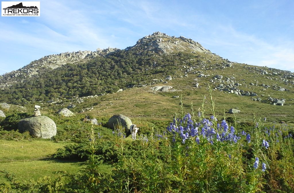  plateau-du-Cuscionu-avec-Trekors