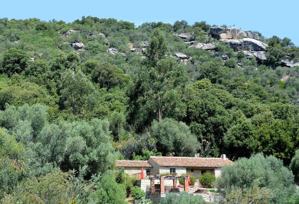  DOMAINE SAPARALE