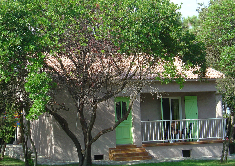  scopamarina