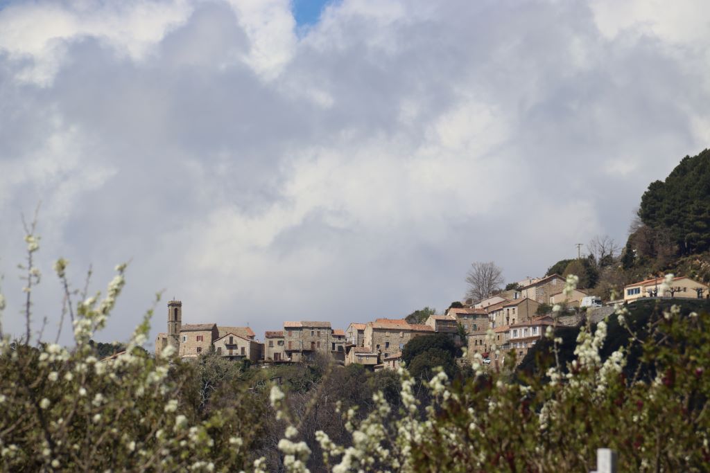  sorbollano-4