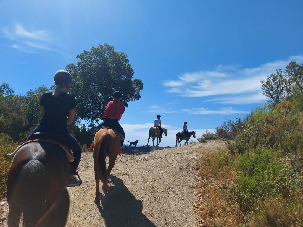  tavagna-cavallu-equitation-corse--2-