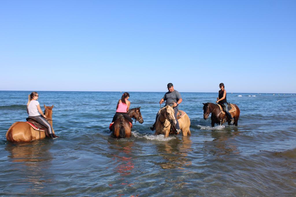  tavagna-cavallu-equitation-corse (4)