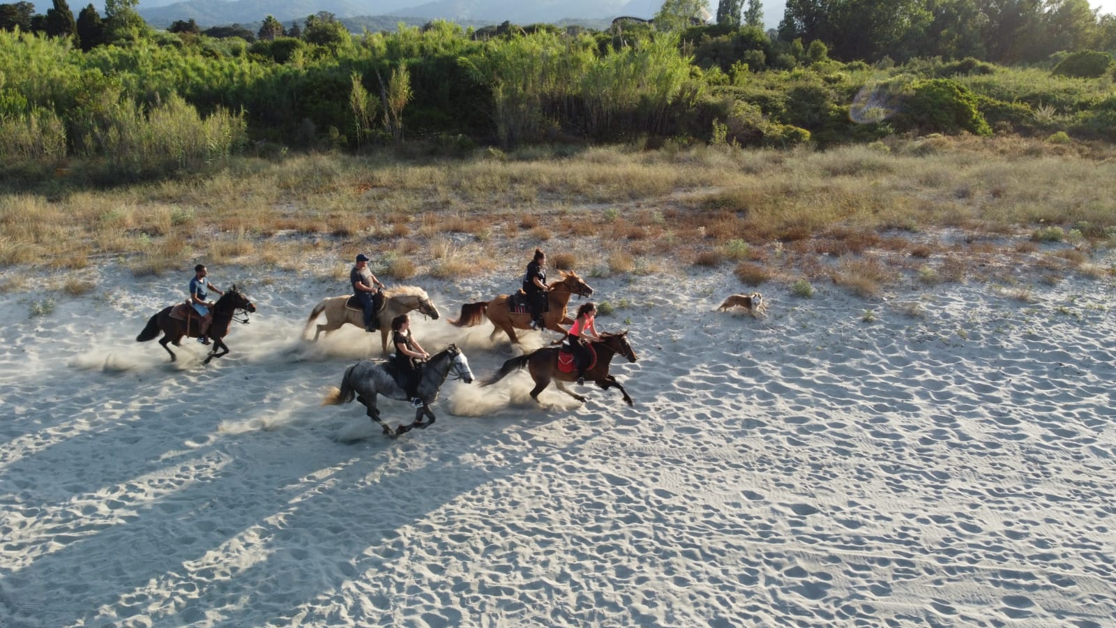  tavagna-cavallu-equitation-corse (6)