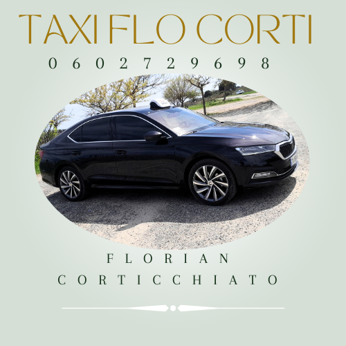  Tax FLo Corti - 1