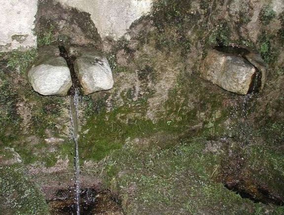  trovandina 2©mairiezalana