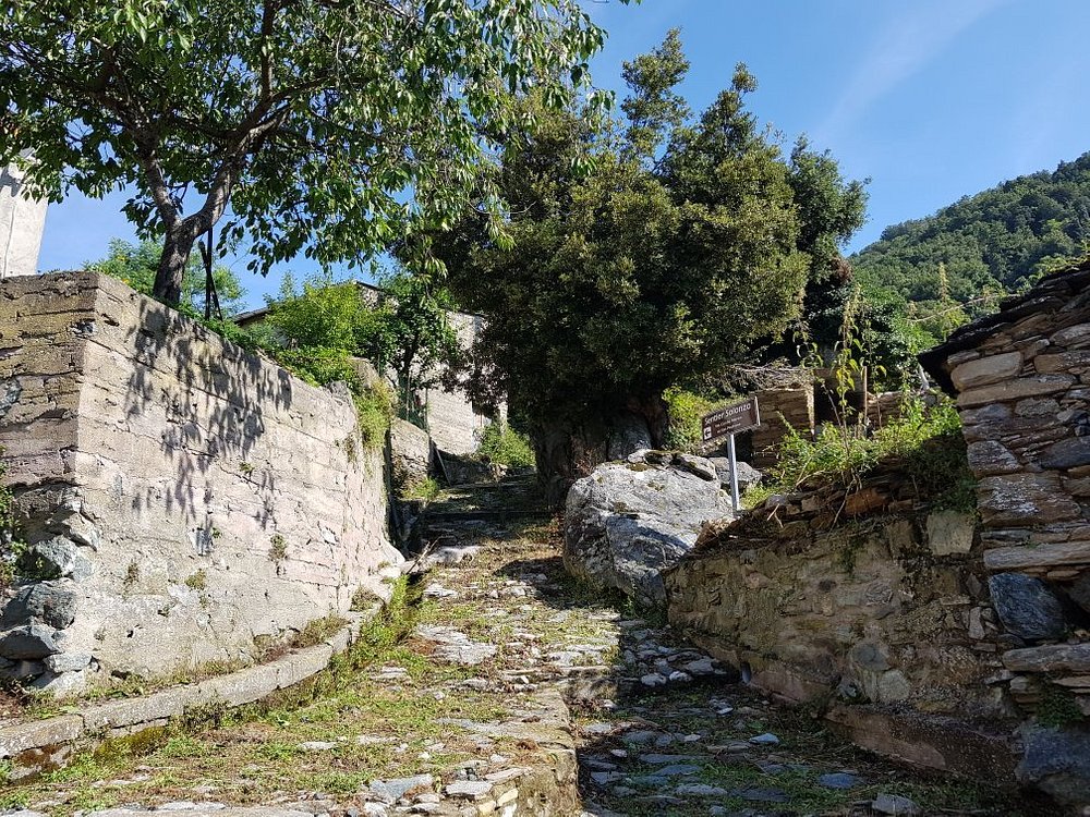  uliccedu_hotel_bustanicu