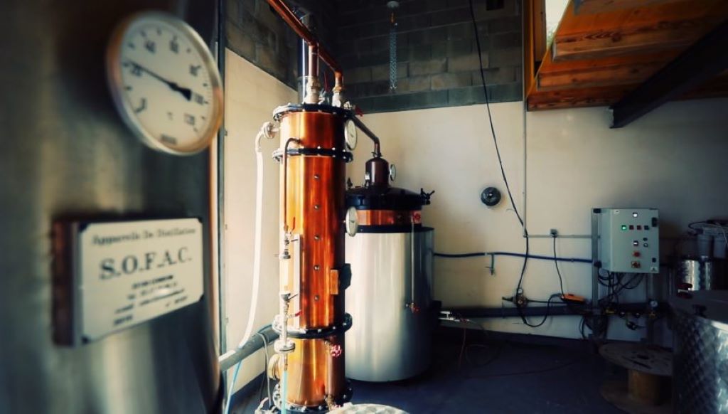  vente-liqueur-corse.com-accueil-distillerie-du-maquis-1-880x500-1