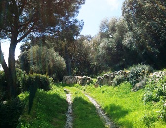  village de Grossa Corse du sud_9