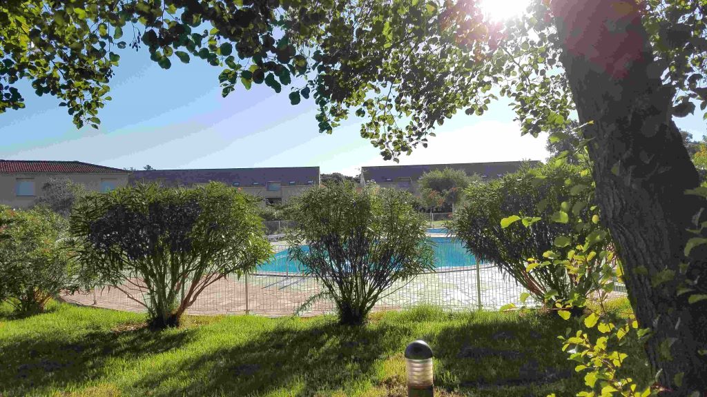  vue-sur-la-piscine-2